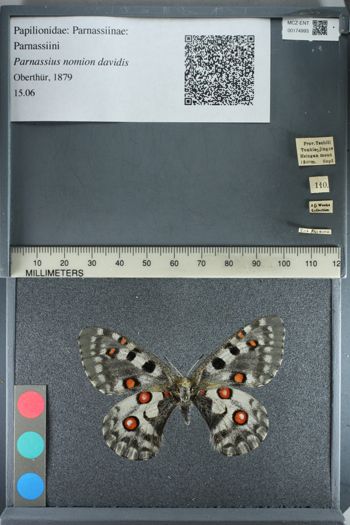 Media type: image;   Entomology 174993